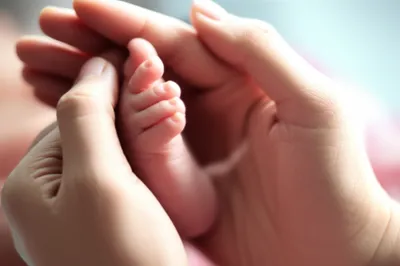 Illustration fond - Image 1