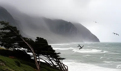 Illustration northwesterly - Image 1