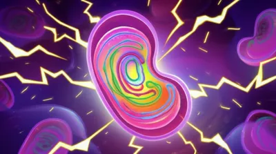 Illustration mitochondrion