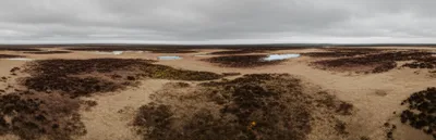 Illustration moors - Image 1