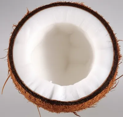 Illustration coconuts - Image 1