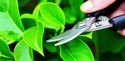 Illustration pinches - Image 1