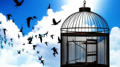 Illustration disbanded - Image 1