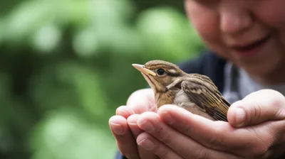 Illustration took - Image 1