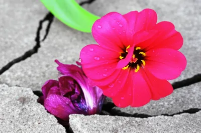 Illustration superseding - Image 1