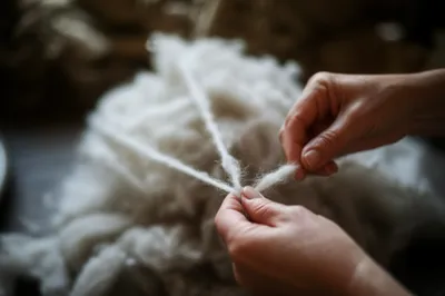 Illustration draughted - Image 1