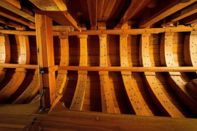 Illustration strings - Image 1