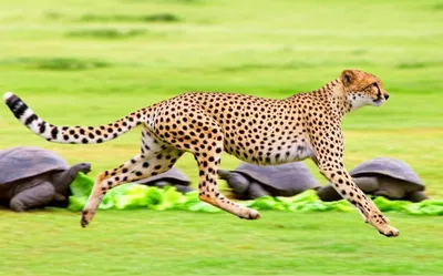 Illustration hardcore - Image 1