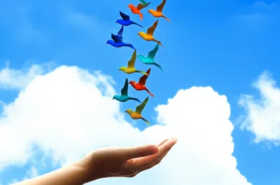 Illustration allowances