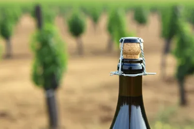 Illustration wires - Image 1