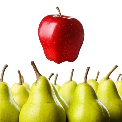 Illustration prominent - Image 1