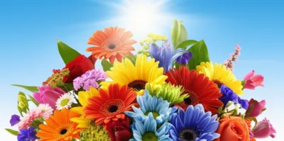 Illustration gays - Image 1