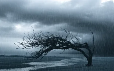 Illustration foul - Image 1