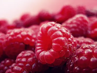 Illustration raspberries - Image 2