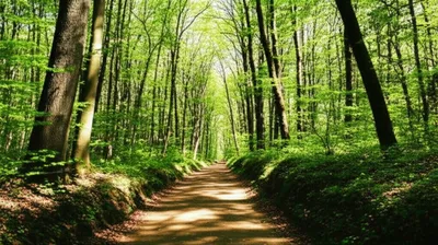 Illustration outside - Image 1