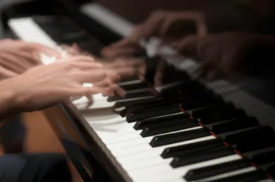 Illustration fingers - Image 1