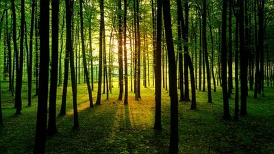 Illustration singled - Image 1