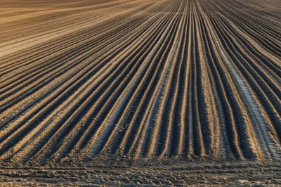 Illustration ploughs - Image 1