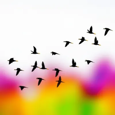 Illustration zeroes - Image 1