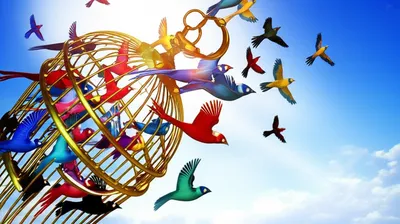 Illustration unbound - Image 1