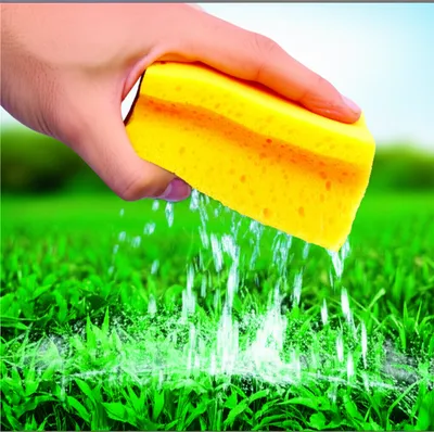 Illustration taxes - Image 1