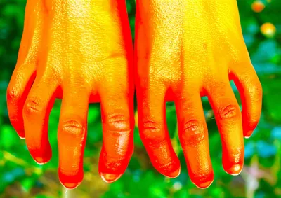 Illustration oranges - Image 1