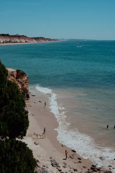 Illustration coastlines - Image 2