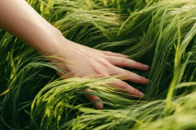 Illustration striking - Image 1