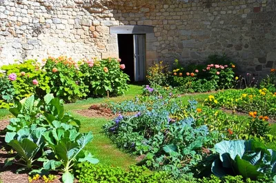 Illustration encloses