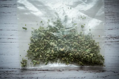 Illustration shakes - Image 1