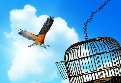 Illustration unbind - Image 1