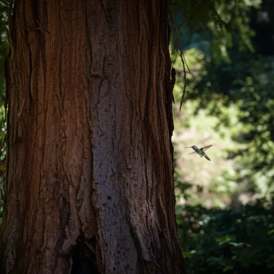 Illustration spans - Image 1