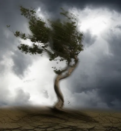 Illustration waving - Image 1