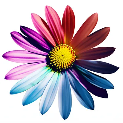 Illustration grays - Image 1