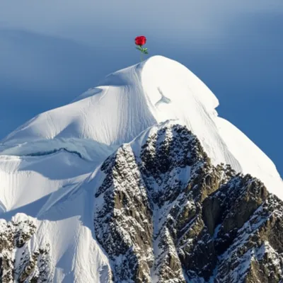 Illustration top - Image 1