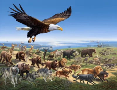 Illustration commands - Image 1