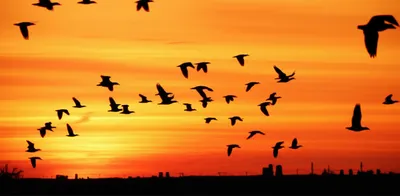 Illustration away - Image 1