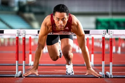 Illustration baulk - Image 1