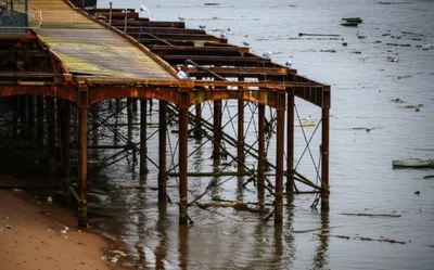 Illustration shan - Image 1