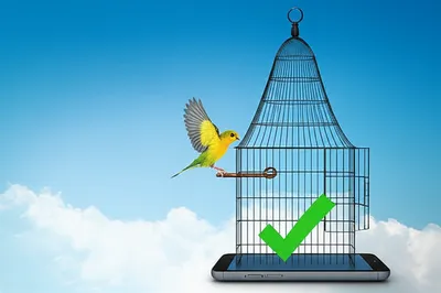 Illustration frees - Image 1