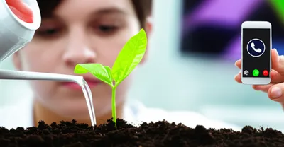 Illustration mindful - Image 1