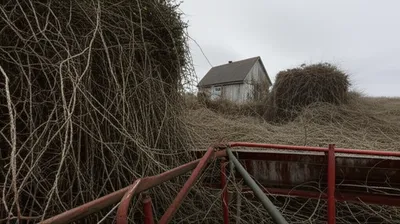 Illustration rampant - Image 1