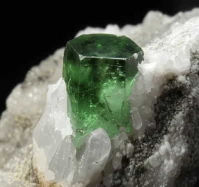 Illustration beryl - Image 1