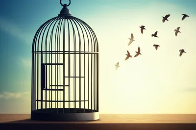 Illustration retired - Image 1