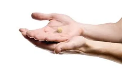 Illustration paltry - Image 2