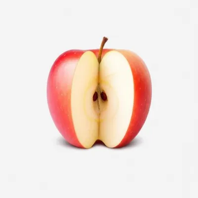 Illustration moieties