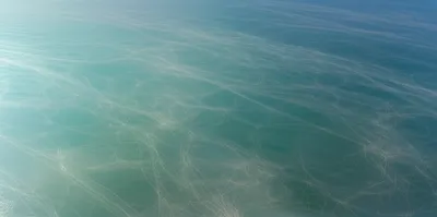 Illustration flushing - Image 1