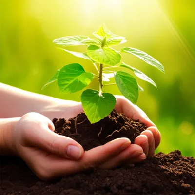 Illustration fostering - Image 1