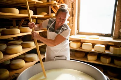 Illustration cheesemakers