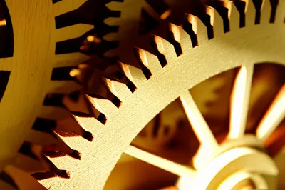 Illustration details - Image 1